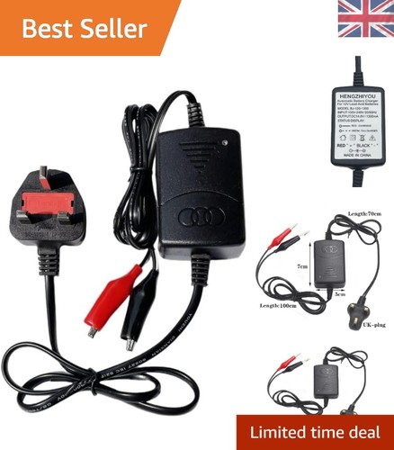 12v sealed lead - lead, charger