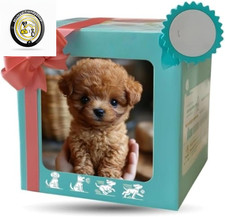 Robot Dog for Adults, Upgrade