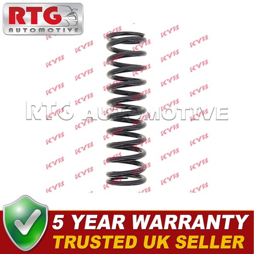 Front suspension coil spring - front,