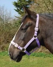 Rhinegold Nylon Headcollar