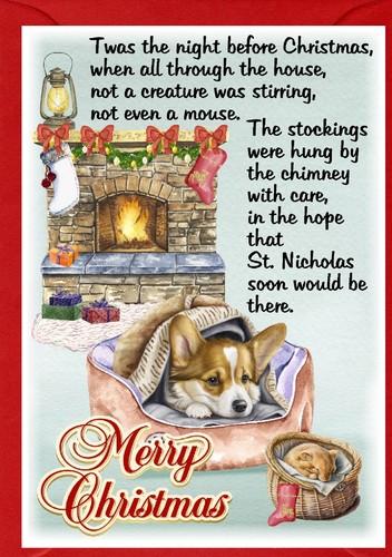 Welsh pembroke corgi dog - welsh,