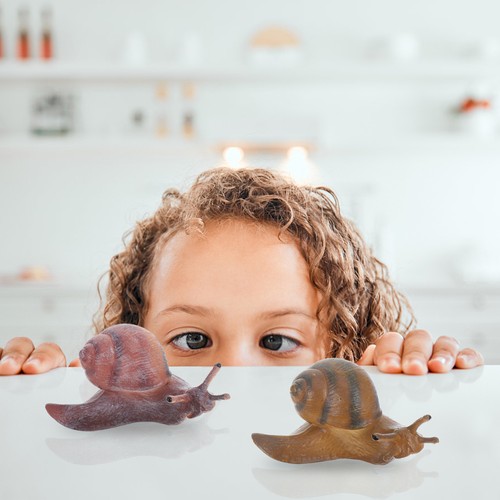 Pcs garden snail - 2,