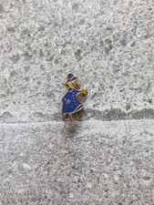 Vintage Peter Storm Pin Badge