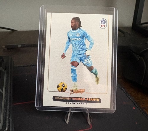 Panini efl prestige - efl,