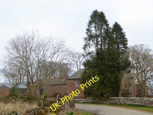 Photo 6x4 scar - photo, farm