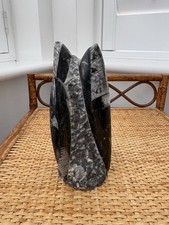 Orthoceras fossil tower - orthoceras,