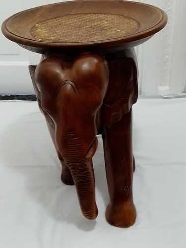 Elephant plant stand indoor - plant,
