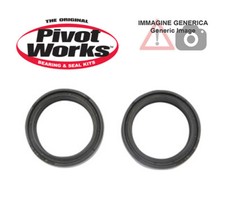Fork Oil and Dust Seal Kit