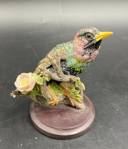 Bird vogelwelt andy pearce - vogelwelt,