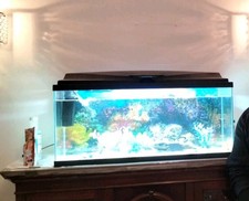 80liter Aquarium Fish Tank For Cold and Hot Water Fishes With Filter And Light 