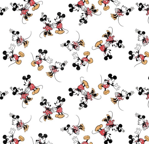 Mickie minnie mouse window - mouse,