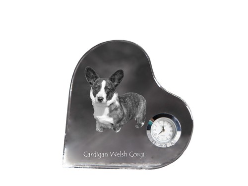 Cardigan welsh corgi - corgi,