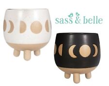 Plants Pot Planter Cactus