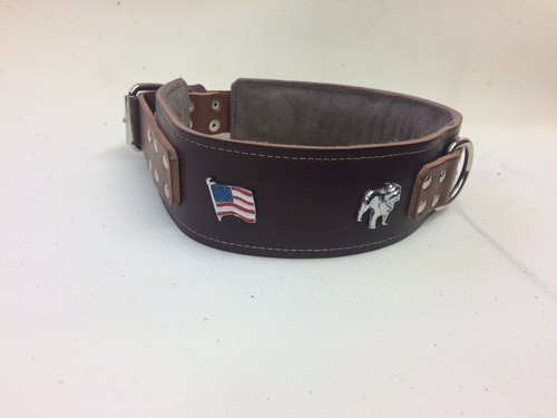 Padded leather dog collar for - dog,
