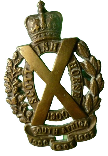 Scottish horse yeomanry - horse,
