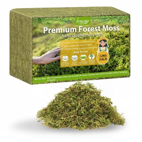 Sphagnum moss for - moss,