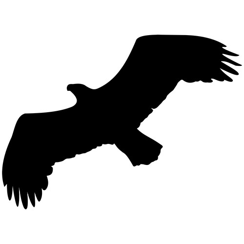Flying eagle bird vinyl - eagle,