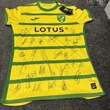 signed norwich city shirt