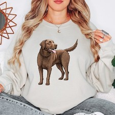 Chesapeake Bay Retriever Dog