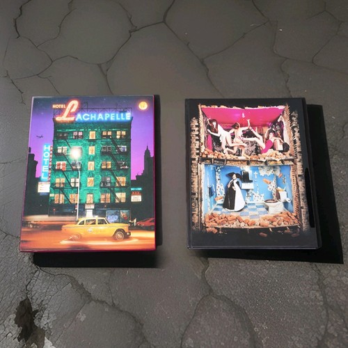 David lachapelle book - david,
