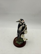 border fine arts birds A20435 Greater Spotted Wood Pecker 2009 (SN)