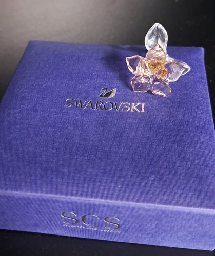 Swarovski scs desert - swarovski,