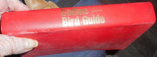 Collins bird guide first press - bird,