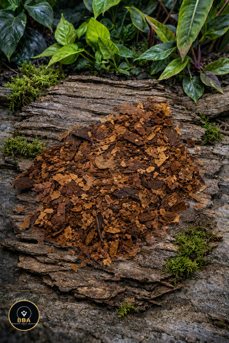 Crushed catappa leaves for - catappa,