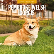 Pembroke Welsh Corgis 2026 Square Wall Calendar