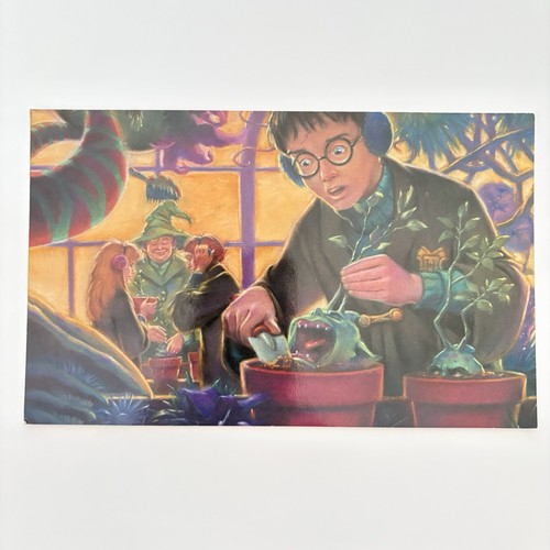 Vtg harry potter pelican - potter,