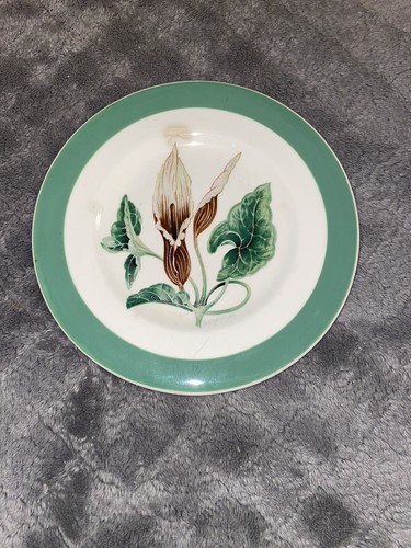 Vintage myott molly day - myott,
