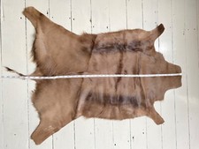 Springbok skin rug, throw, skin