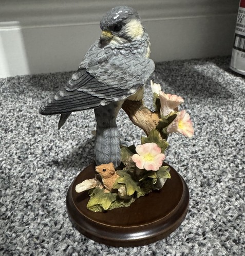 Country artists peregrine - country,