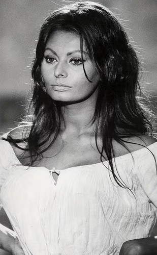 Sophia loren s classic - sophia, 50's