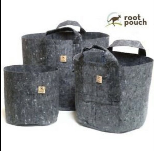 Root pouch litre gray - pouch,