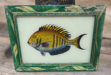 Indian Fish  Vintage Reverse Glass Painting in Bold Colors - 17 X 12 cm