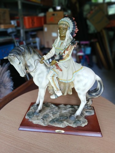 Native american indian chief - native,