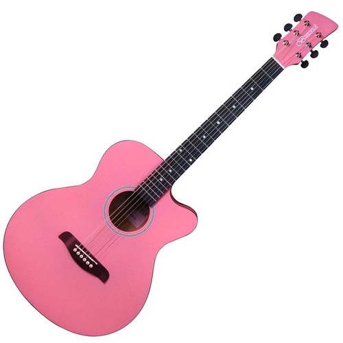 Brunswick acoustic guitar - brunswick,
