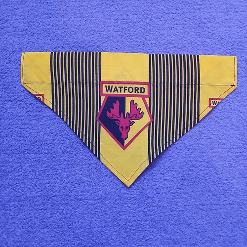 Large watford football club - watford,