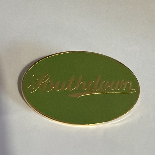 Vintage southdown pin badge - pin,