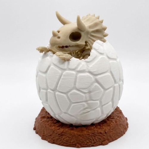Baby triceratops skeleton - baby,