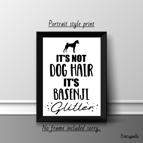 Basenji dog pet - basenji, picture