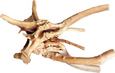 Natural Large Driftwood for