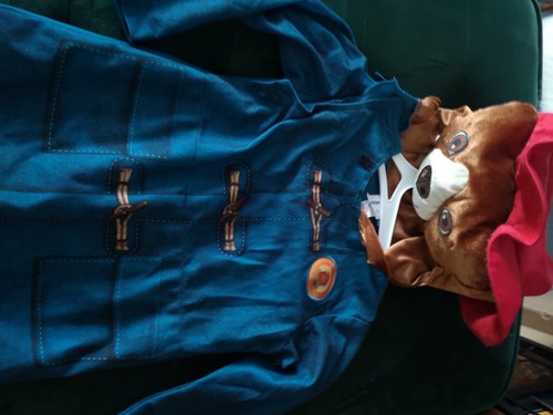 Paddington bear fancy - fancy, dress