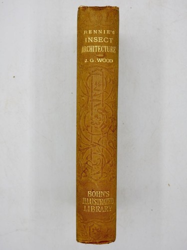 1869 insect architecture - 1869,