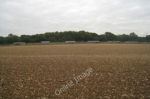 Photo 6x4 pheasant rearing - rearing,