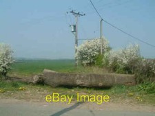 Photo 6x4 Telephone poles with
