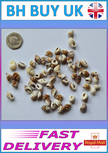 20g aquarium snail shells - 20g,