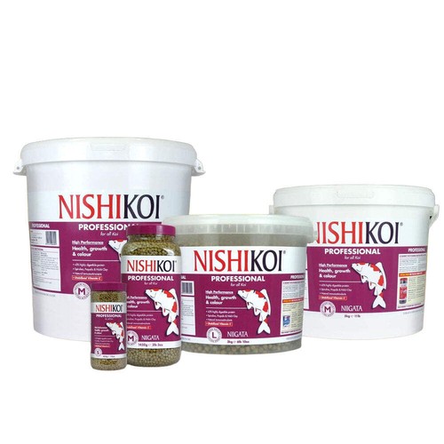 Nishikoi niigata professional - nishikoi,