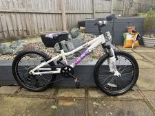 Saracen Spice 20 inch wheel